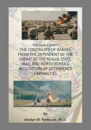 The Continuity of Images Paperback